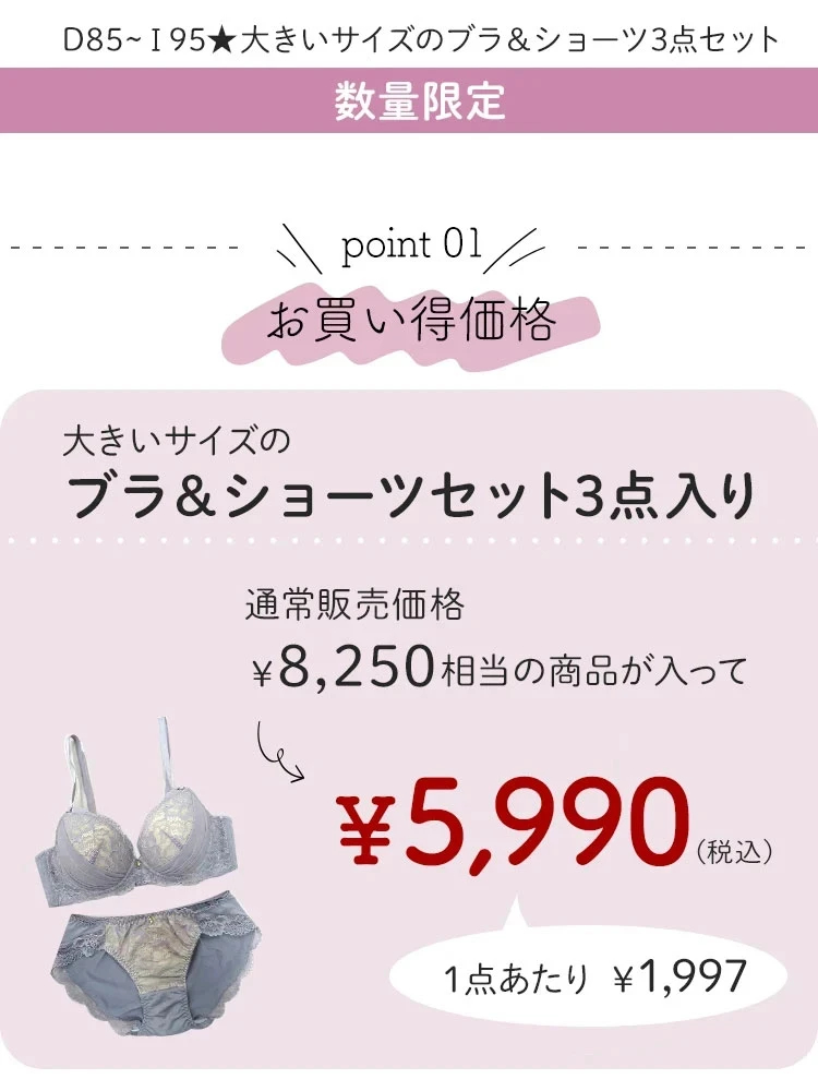 D85-I95]バイリーンカップブラ＆ショーツHAPPY BAG【WEB限定】（大きい