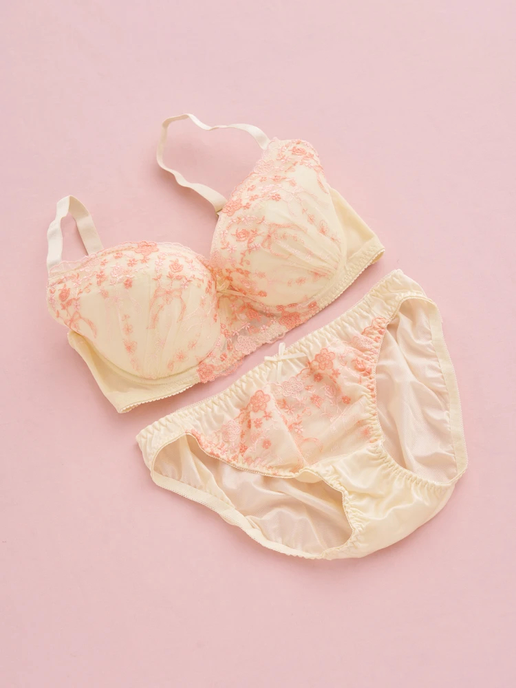 D85-I95]バイリーンカップブラ＆ショーツ3点セット【WEB限定】（大きい