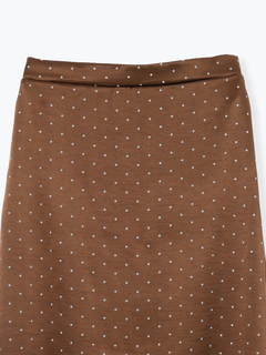 Re-J＆SUPURE(リジェイ＆スプル) |【WEB限定】サテンドットAラインスカート