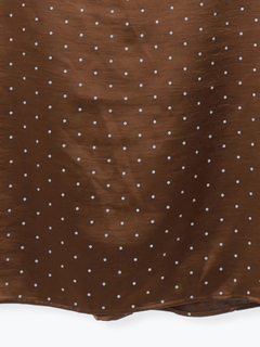 Re-J＆SUPURE(リジェイ＆スプル) |【WEB限定】サテンドットAラインスカート