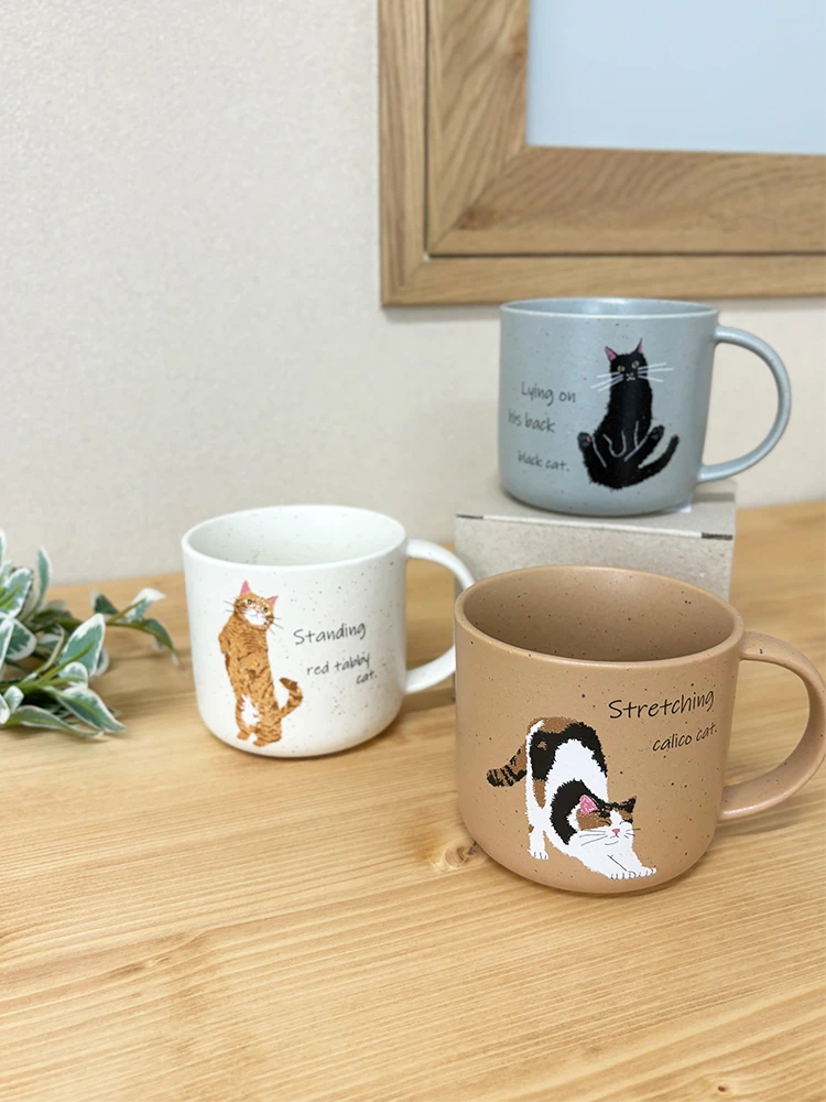 茶トラ 大人気茶トラ、ここにいますよ〜！ | 三木さくらニャンズ