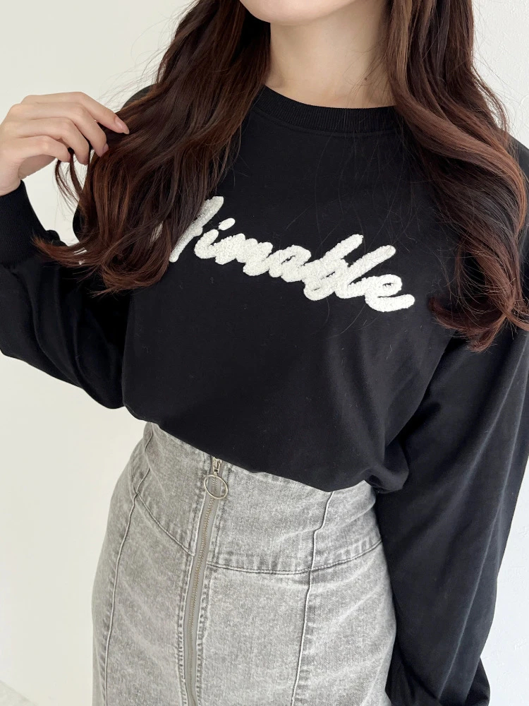 AMIABLEサガラ刺繍ロングスリーブTシャツ / LUDIC PARK（ル
