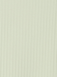 LUDIC PARK(ルディックパーク) |配色メローテレコトップス