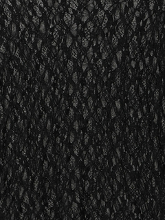 LUDIC PARK(ルディックパーク) |プチハイネックレースロングTシャツ