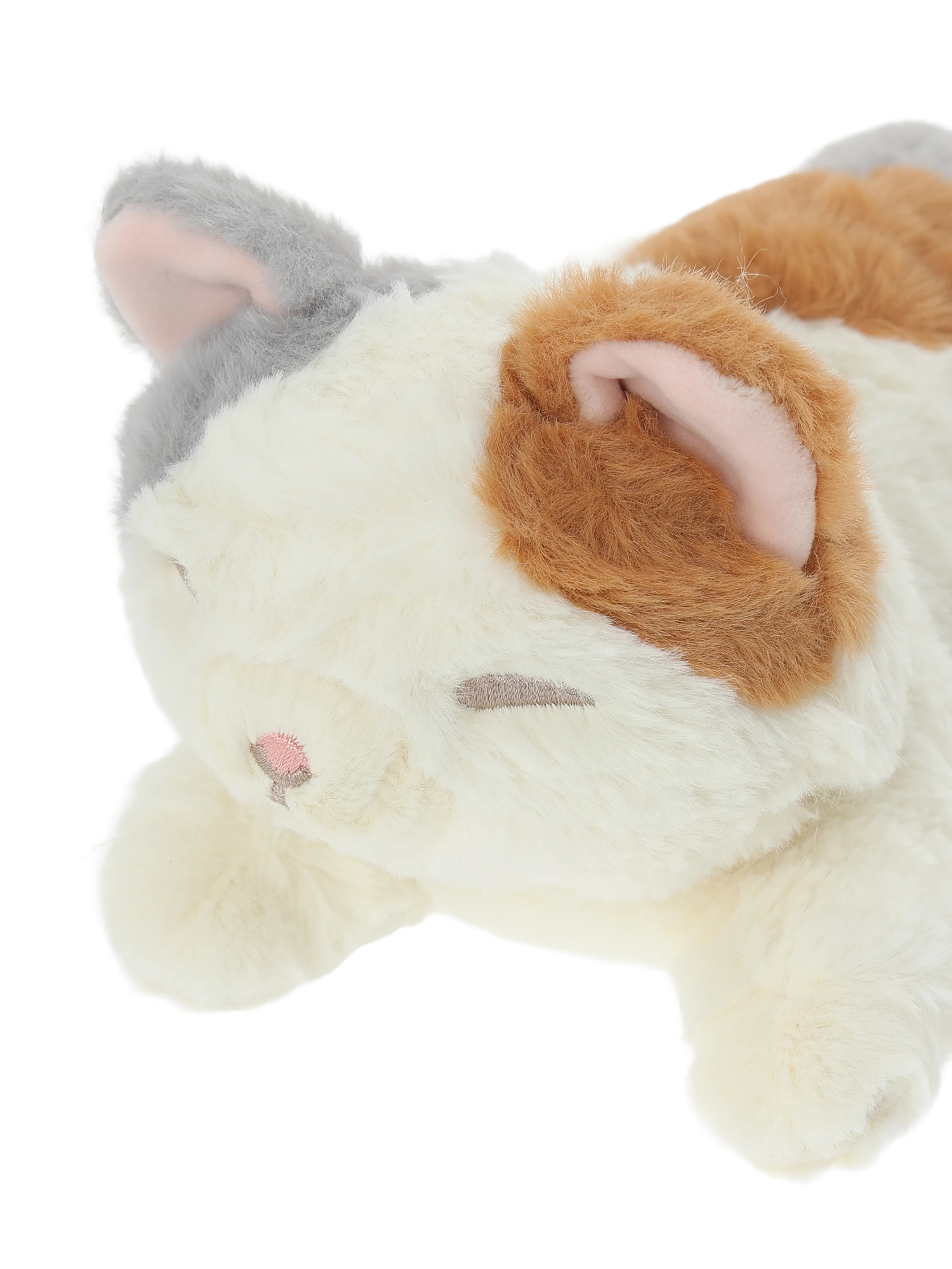 くたっとびより ミニクッション【ミケ】 / Hare no hi（ハレノヒ）の