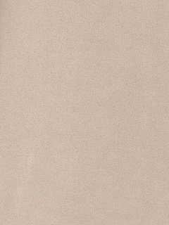 LUDIC PARK(ルディックパーク) |スエードファーライダースジャケット