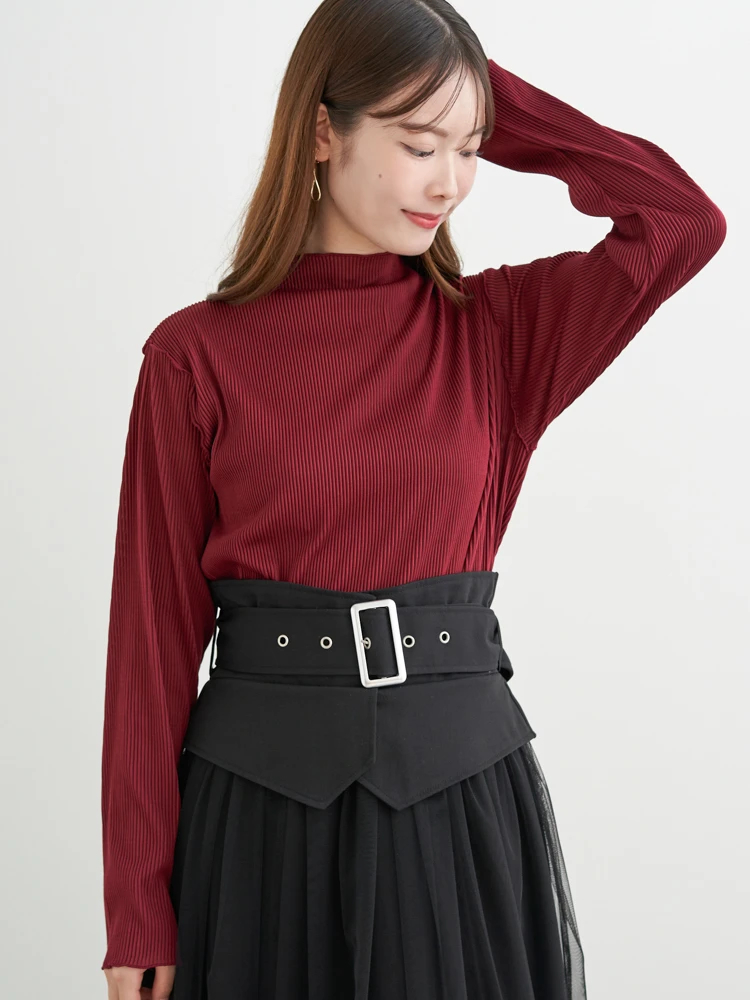 LUDIC PARK(ルディックパーク) |カットプリーツプチハイネックトップス