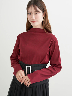 LUDIC PARK(ルディックパーク) |カットプリーツプチハイネックトップス