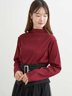 LUDIC PARK(ルディックパーク) |カットプリーツプチハイネックトップス