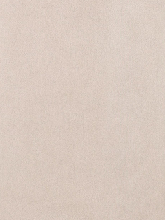 LUDIC PARK(ルディックパーク) |スエードポンチナロースカート